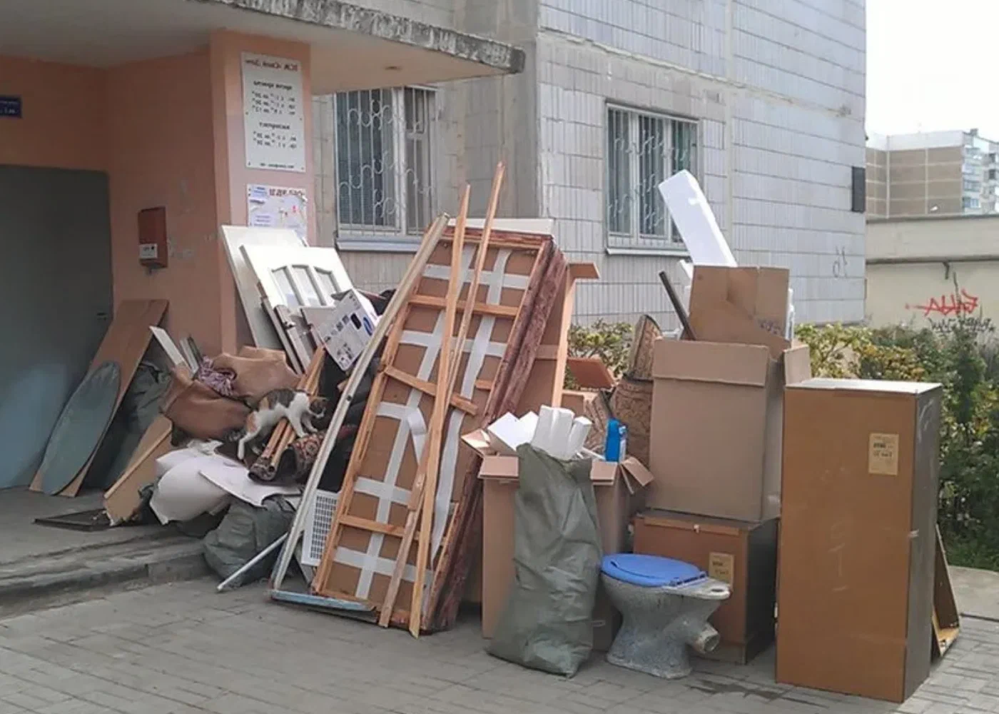 Профессиональный вывоз мусора из квартиры в Балтийске в октябре