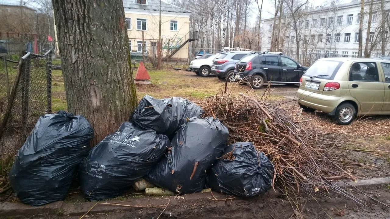 Вывоз мусора после субботника в Балтийске от ПроМусор – уборка и утилизация отходов от 2396 руб