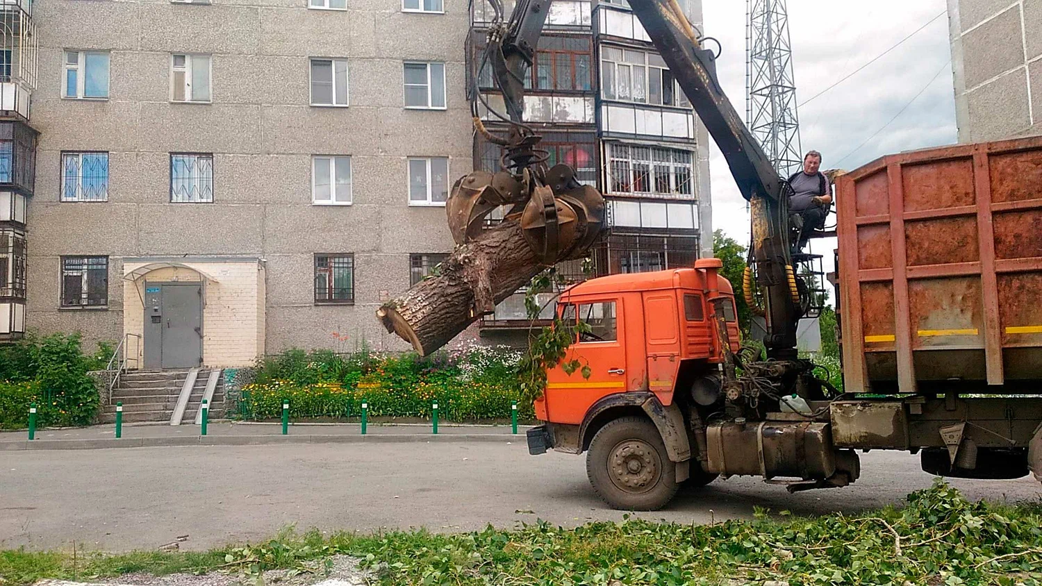Вывоз спиленных веток и деревьев в Балтийске от ПроМусор: порубочные остатки, утилизация, цена от 2957 руб