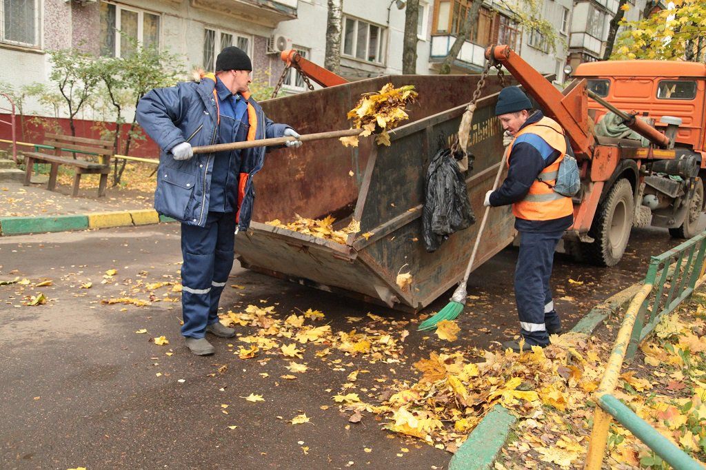 Вывоз опавшей листвы и растительного мусора в Балтийске от ПроМусор – цена от 4588 руб., быстрая уборка и утилизация