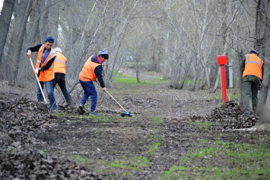 Весенняя уборка территории с вывозом и утилизацией мусора в Балтийске в октябре